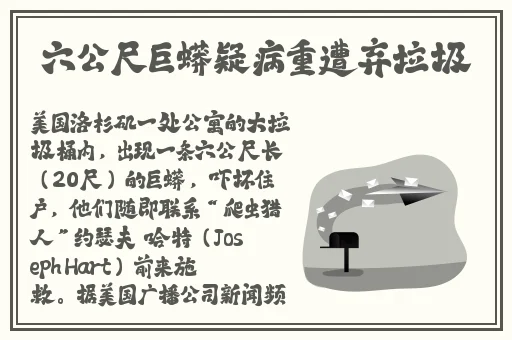 激情故事五月天